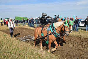Fotografie Kubota Orange - Den Zemědělce Kámen 2019